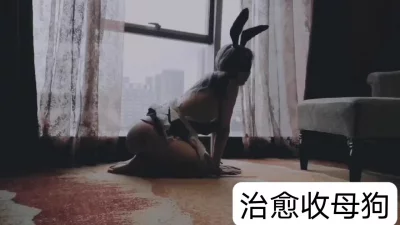 打狗棍大结局在线观看